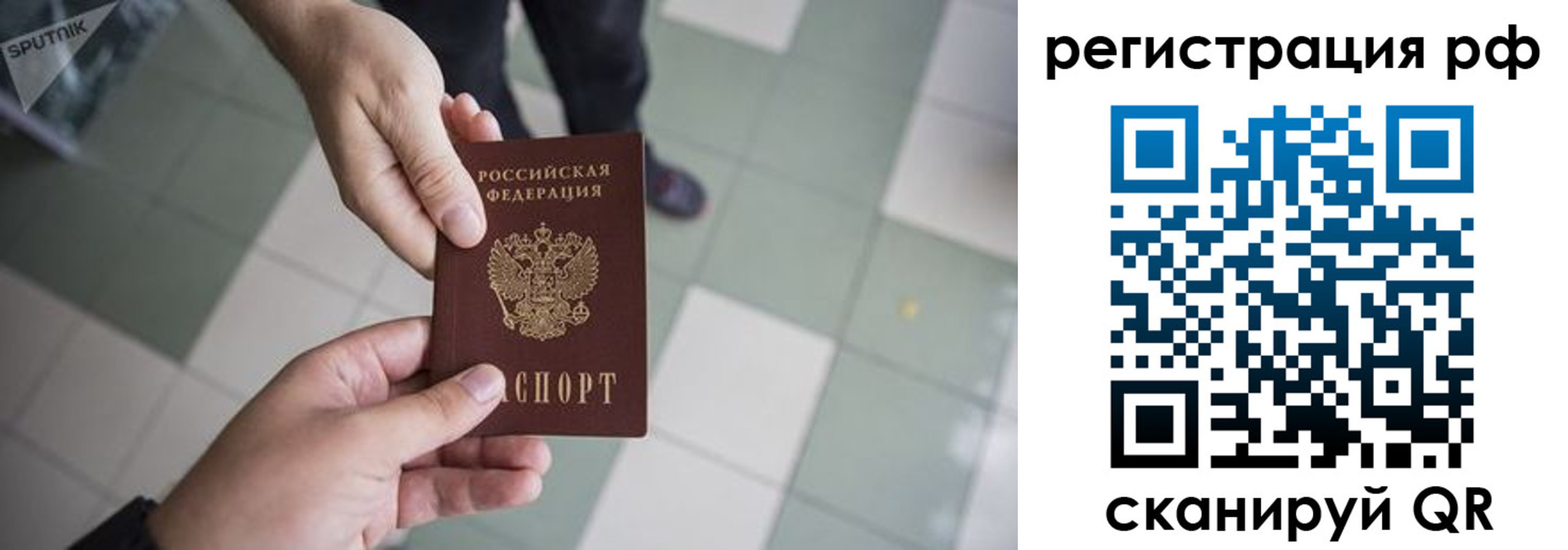 прописка гарантия в Хотьково